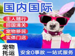 浪头空运国际宠物托运 【国